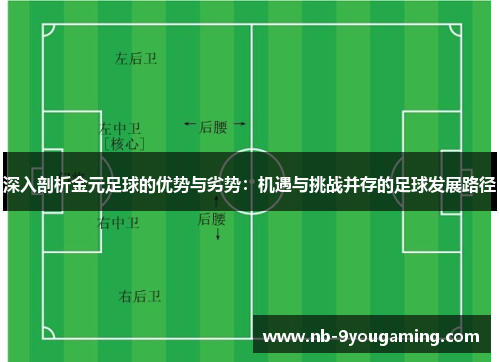 深入剖析金元足球的优势与劣势：机遇与挑战并存的足球发展路径