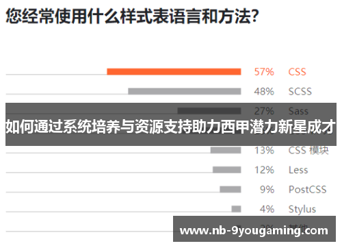 如何通过系统培养与资源支持助力西甲潜力新星成才 如何通过系统培养与资源支持助力西甲潜力新星成才