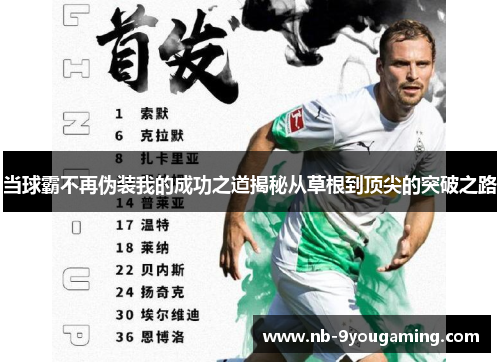 当球霸不再伪装我的成功之道揭秘从草根到顶尖的突破之路
