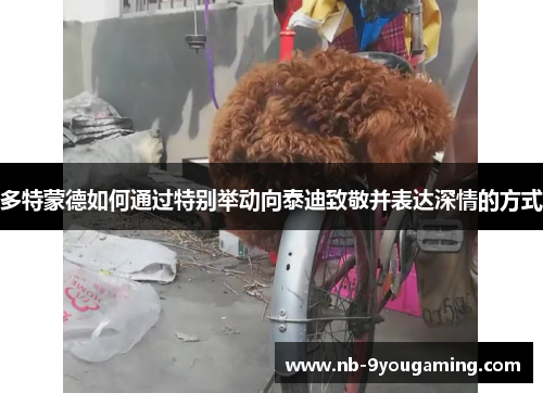 多特蒙德如何通过特别举动向泰迪致敬并表达深情的方式 多特蒙德如何通过特别举动向泰迪致敬并表达深情的方式