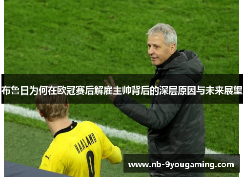 布鲁日为何在欧冠赛后解雇主帅背后的深层原因与未来展望