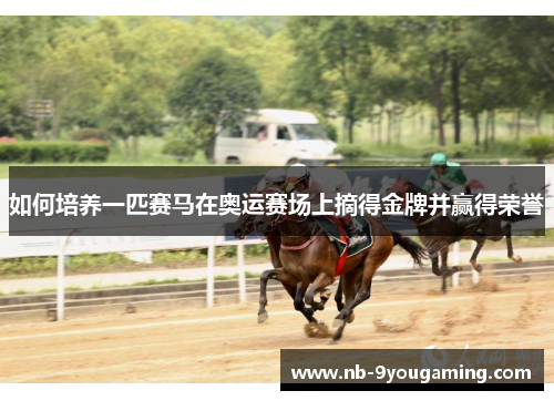 如何培养一匹赛马在奥运赛场上摘得金牌并赢得荣誉 如何培养一匹赛马在奥运赛场上摘得金牌并赢得荣誉