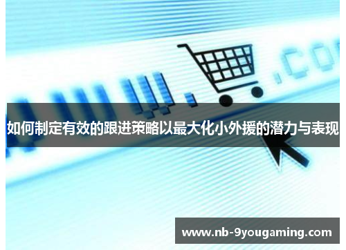如何制定有效的跟进策略以最大化小外援的潜力与表现 如何制定有效的跟进策略以最大化小外援的潜力与表现