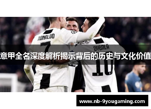 意甲全名深度解析揭示背后的历史与文化价值