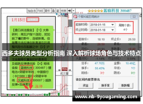 西多夫球员类型分析指南 深入解析球场角色与技术特点