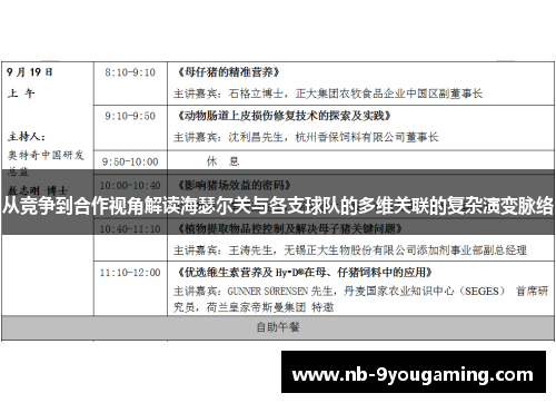 从竞争到合作视角解读海瑟尔关与各支球队的多维关联的复杂演变脉络